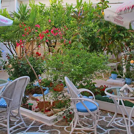 Vasia Boulevard (adults Only) 헐소니소스